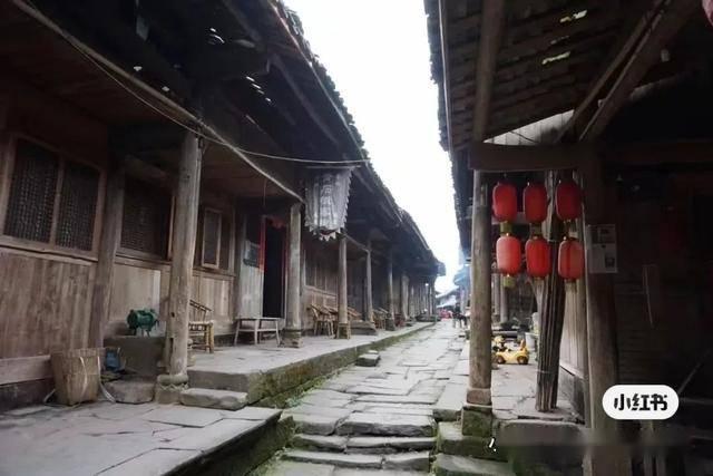 逃离水虎鱼湖